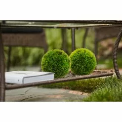 Style Selections Spruce Hills 42-in x 17-in Brown Patio Coffee Table -Style Selections Sales Store 41355014d L